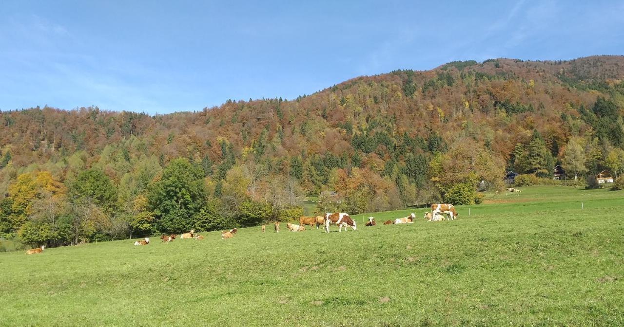Apatmaji Pika 2 Cerklje na Gorenjskem